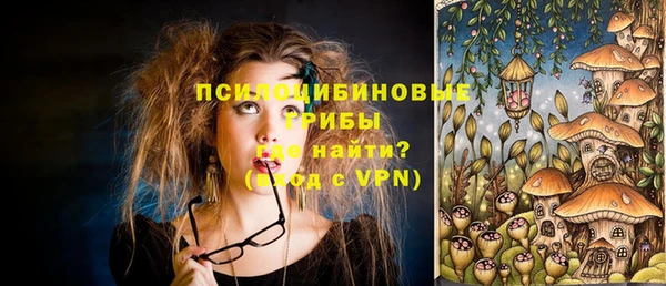 кристаллы Гусев