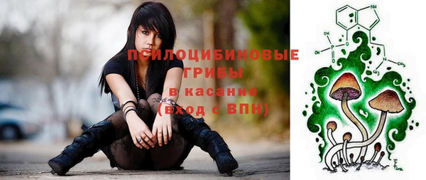 кристаллы Гусев